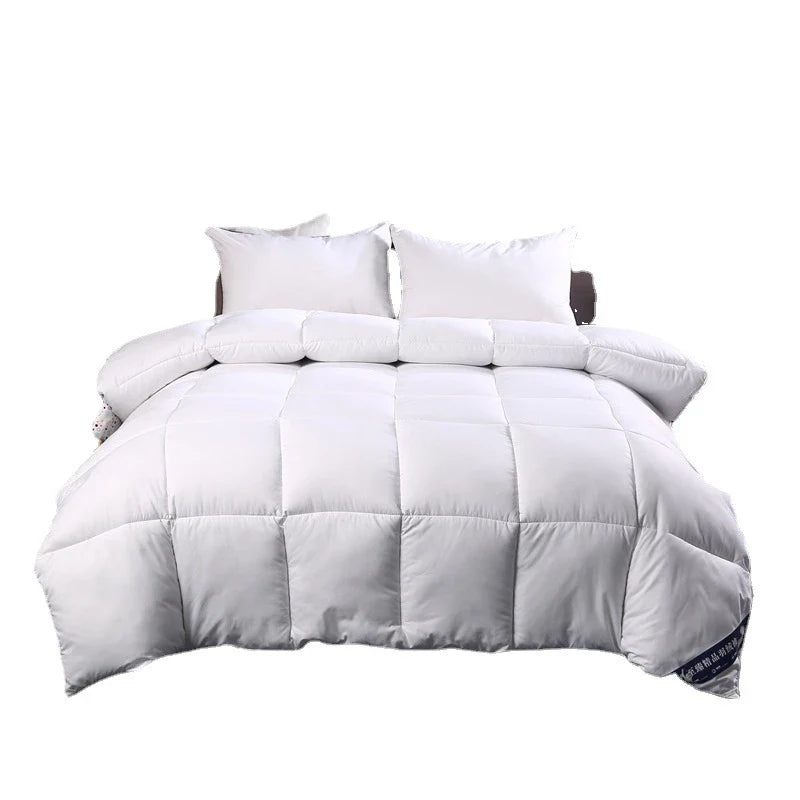 Yeknu Solid Down Quilt Thickened Soft and Warm Silk Cotton Quilt for Single and Double Use Autumn and Winter Quilt Core Gift Quilt