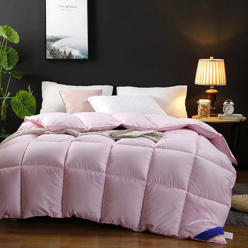 Yeknu Solid Down Quilt Thickened Soft and Warm Silk Cotton Quilt for Single and Double Use Autumn and Winter Quilt Core Gift Quilt