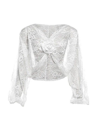 V Neck Lace Slit Long Sleeve Blouse