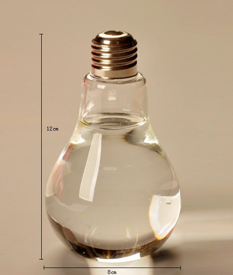 Home Decor Wedding Decoration Light Bulb Transparent Glass Vase Fashion Hydroponic Flower Vase Gifts Retro DIY