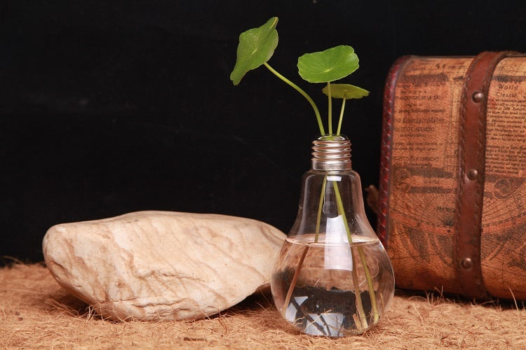 Home Decor Wedding Decoration Light Bulb Transparent Glass Vase Fashion Hydroponic Flower Vase Gifts Retro DIY