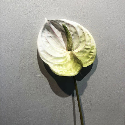 qgtao 1pc Artificial Flower Real Touch Anthurium Lotus Wedding Bride Fake Flower Plant DIY Party Christmas Home Decoration Accessories
