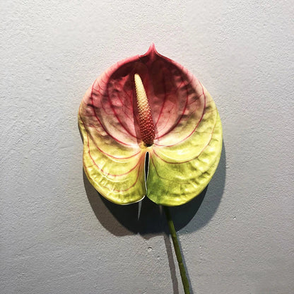 qgtao 1pc Artificial Flower Real Touch Anthurium Lotus Wedding Bride Fake Flower Plant DIY Party Christmas Home Decoration Accessories