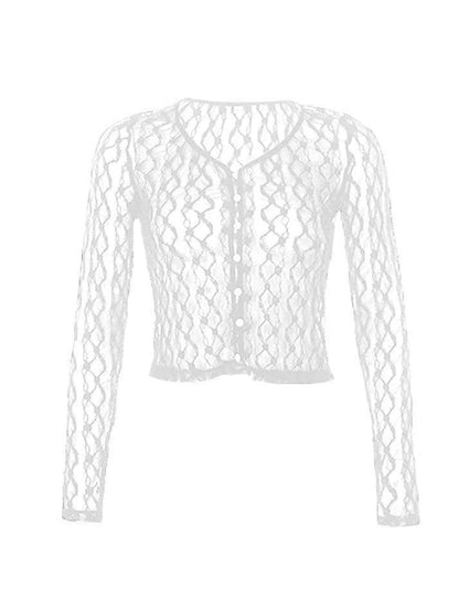 Sheer Lace Long Sleeve Crop Blouse